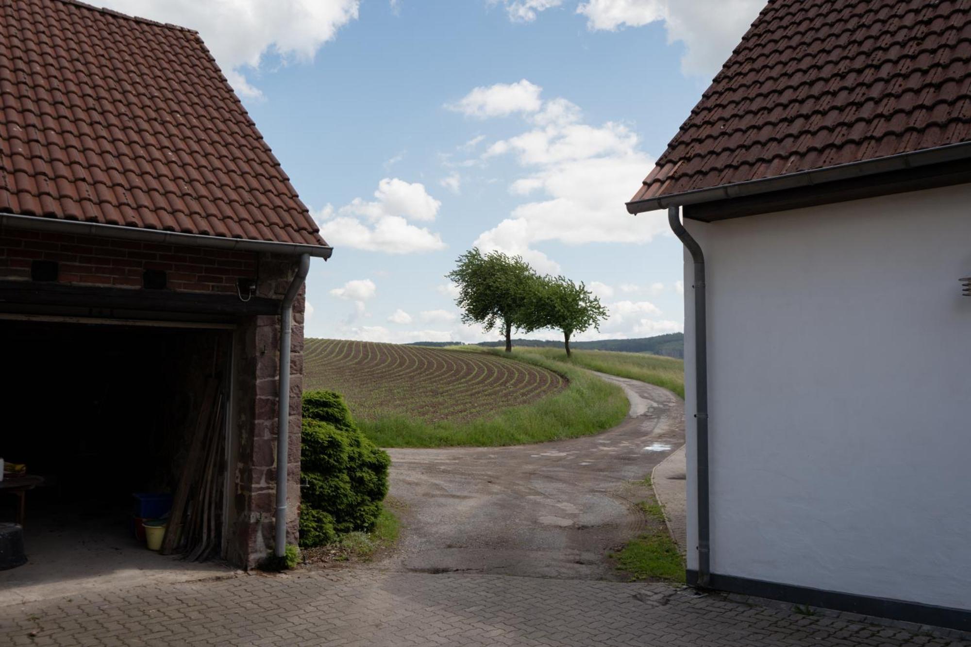 Idyllische Ferienwohnung Im Kalletal Esterno foto